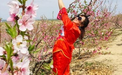 在线乱码一卡二卡麻豆